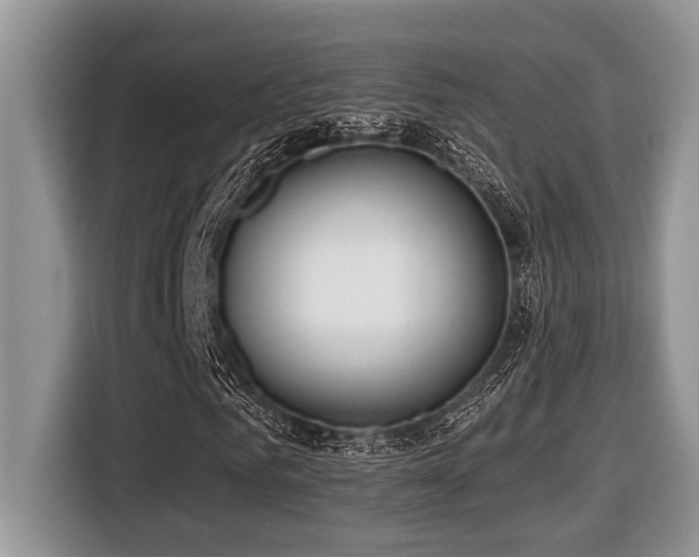 X0000116430961200912081521
