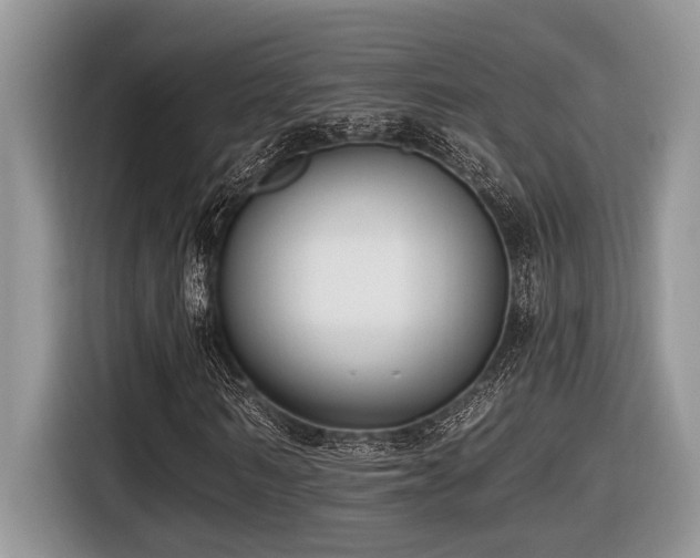X0000116430962200912081521
