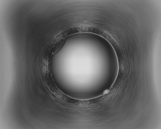 X0000116430964200912081521