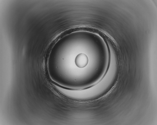 X0000116430969200912081521
