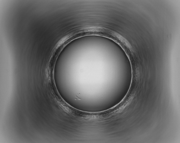 X0000116430970200912081521