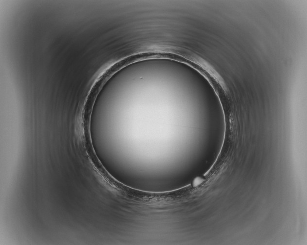 X0000116430972200912081521