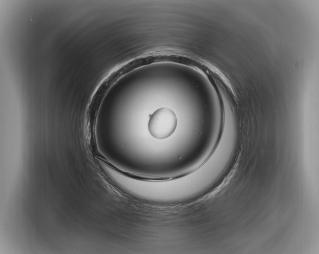 X0000116430973200912081521