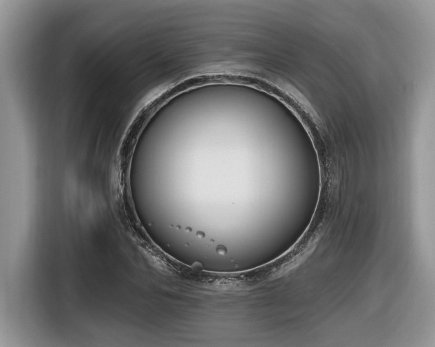 X0000116430974200912081521