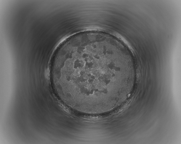 X0000116430975200912081521