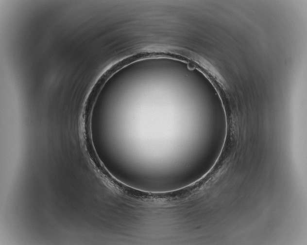 X0000116430976200912081521