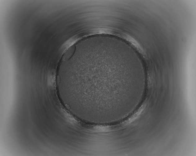 X0000116430977200912081521