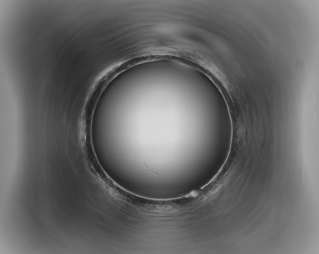 X0000116430979200912081521