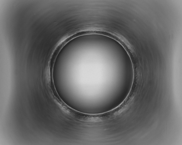 X0000116430982200912081520