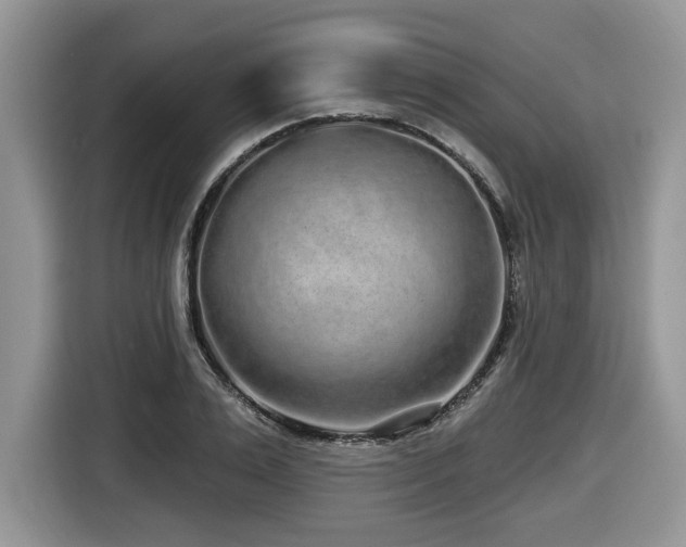 X0000116430983200912081520