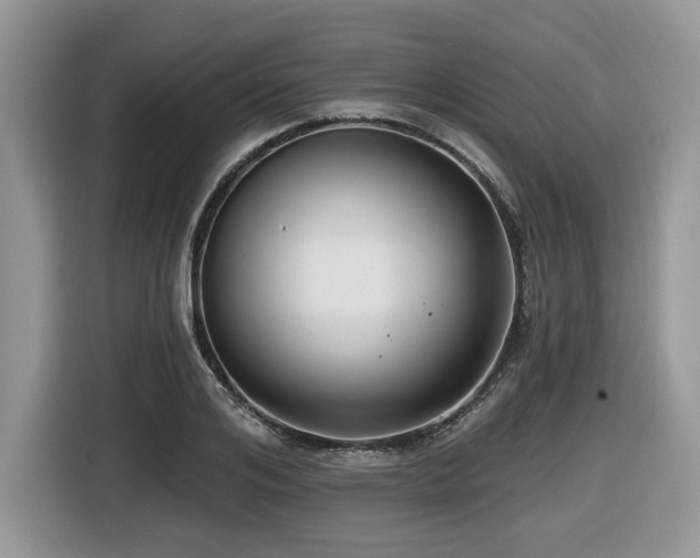 X0000116430984200912081520