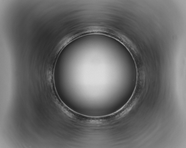 X0000116430985200912081520