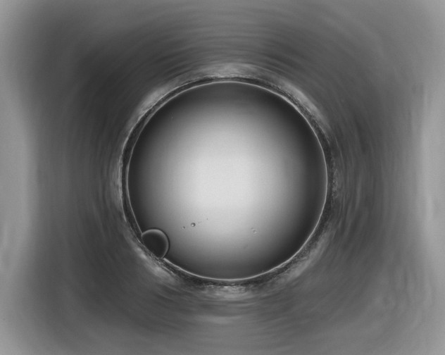 X0000116430986200912081520
