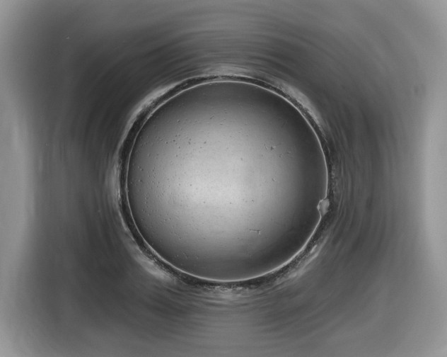 X0000116430987200912081520
