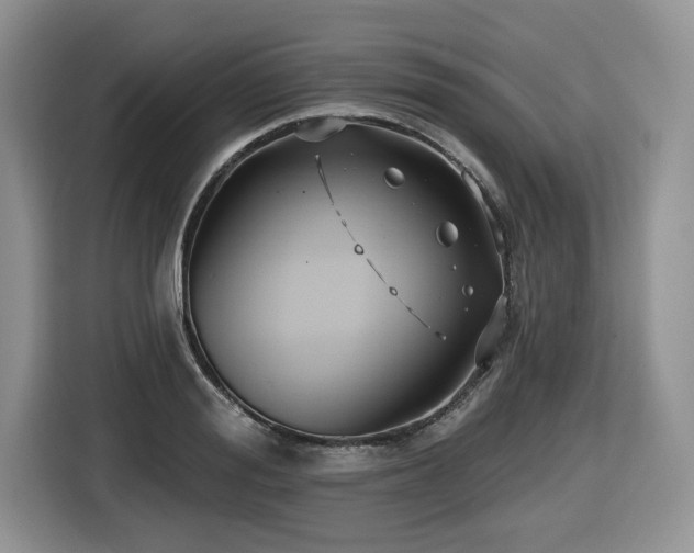 X0000116430988200912081520