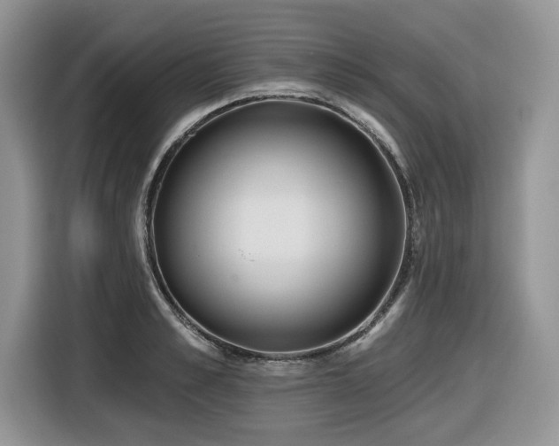 X0000116430989200912081520