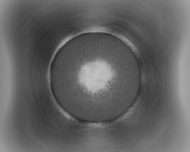 X0000116430990200912081520