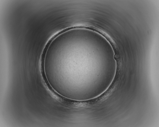 X0000116430991200912081520