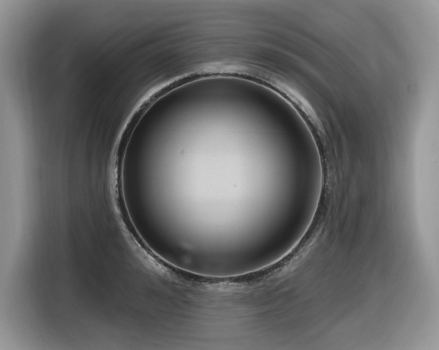 X0000116430992200912081520