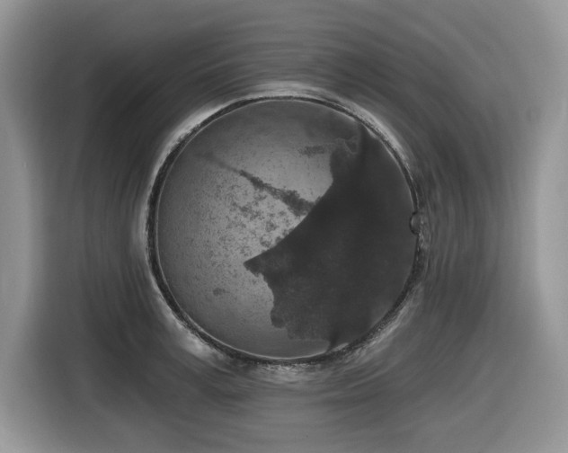 X0000116430995200912081520