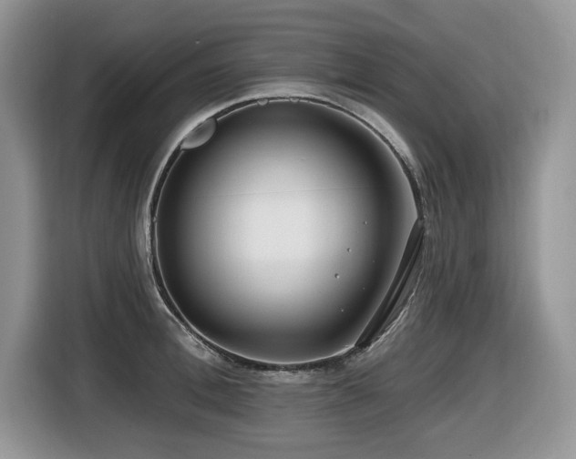X0000116430996200912081520