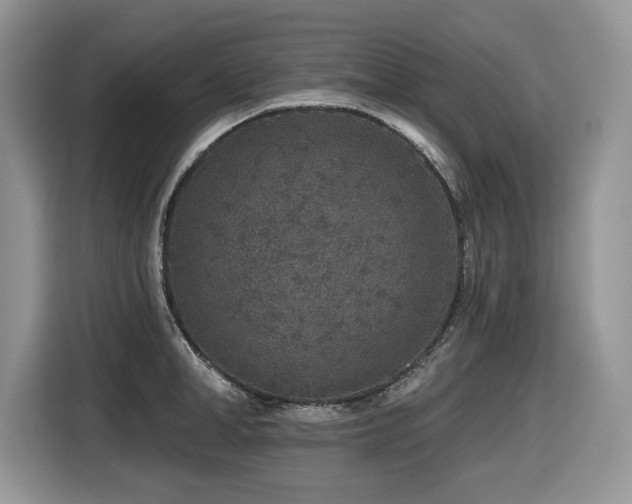 X0000116430998200912081520