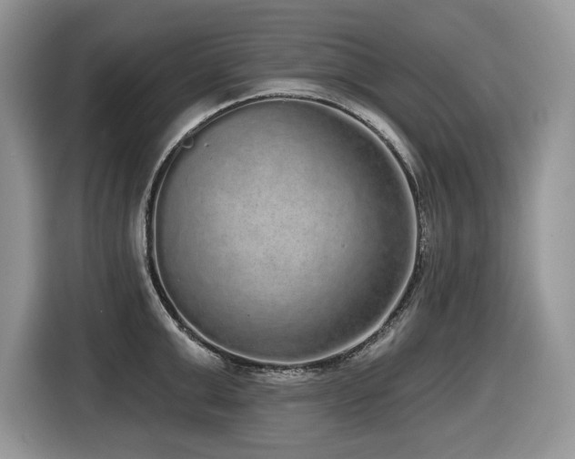 X0000116430999200912081520