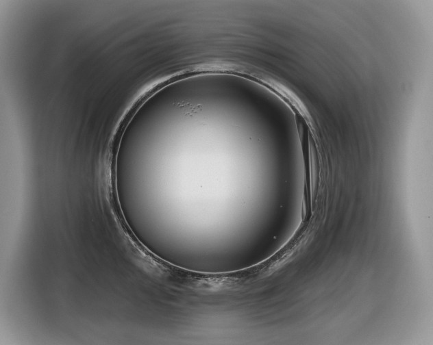 X0000116431000200912081520