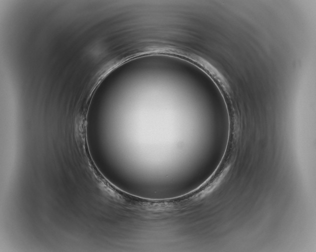 X0000116431001200912081520