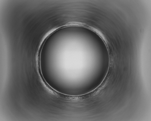 X0000116431003200912081520