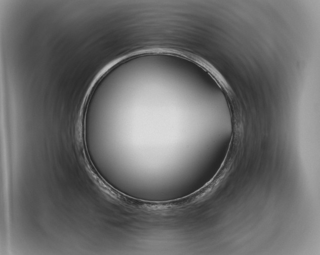 X0000116431004200912081520