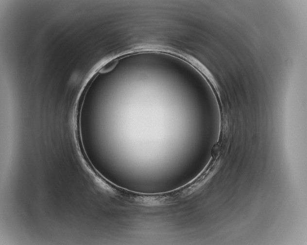 X0000116431005200912081520