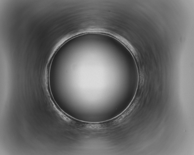 X0000116431006200912081520