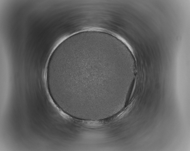 X0000116431007200912081520