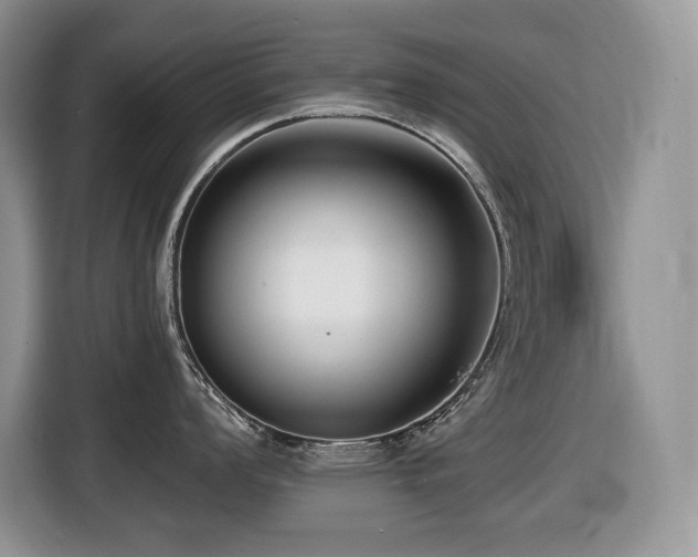 X0000116431008200912081520