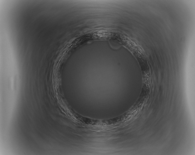 X0000116431009200912081520