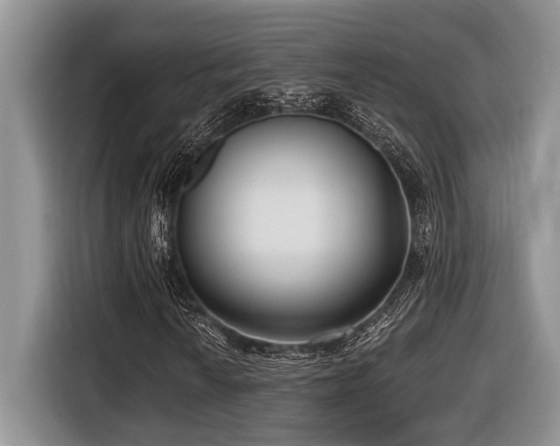 X0000116431010200912081520