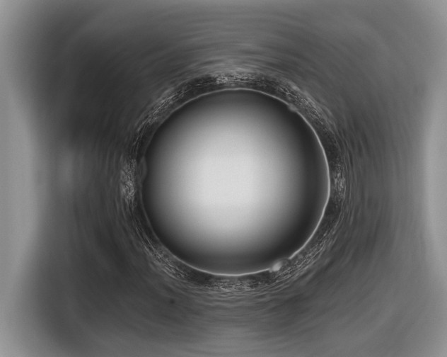 X0000116431012200912081520