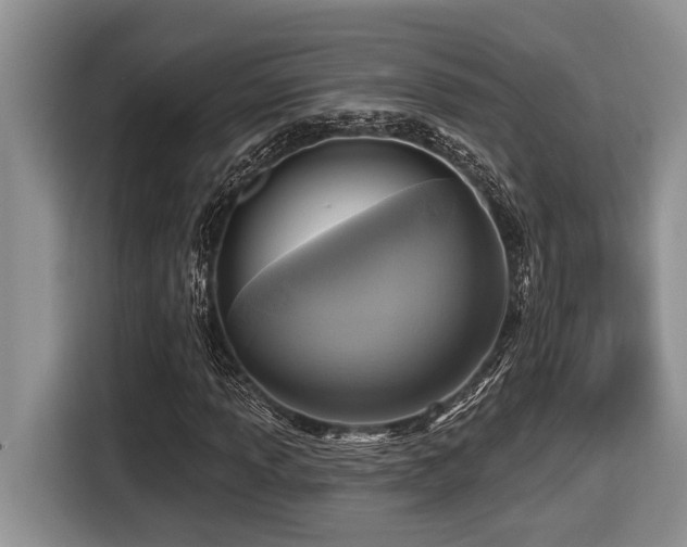 X0000116431013200912081520