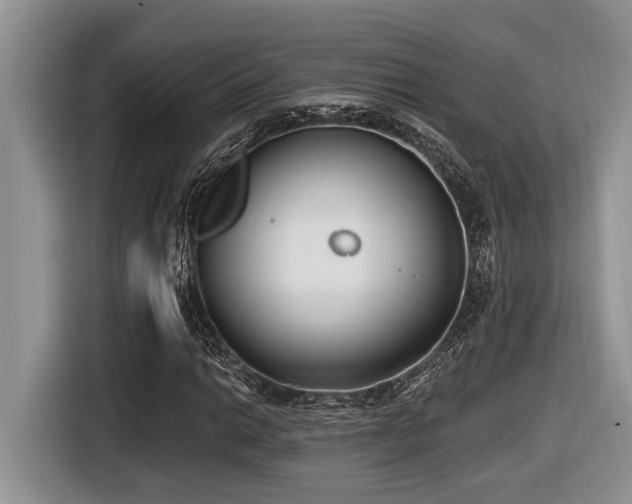 X0000116431014200912081520