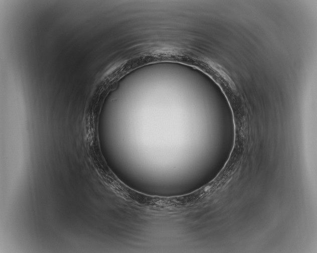 X0000116431015200912081520