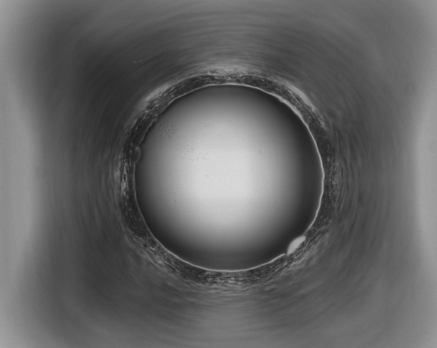 X0000116431016200912081520
