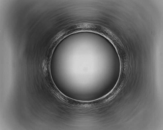 X0000116431017200912081520