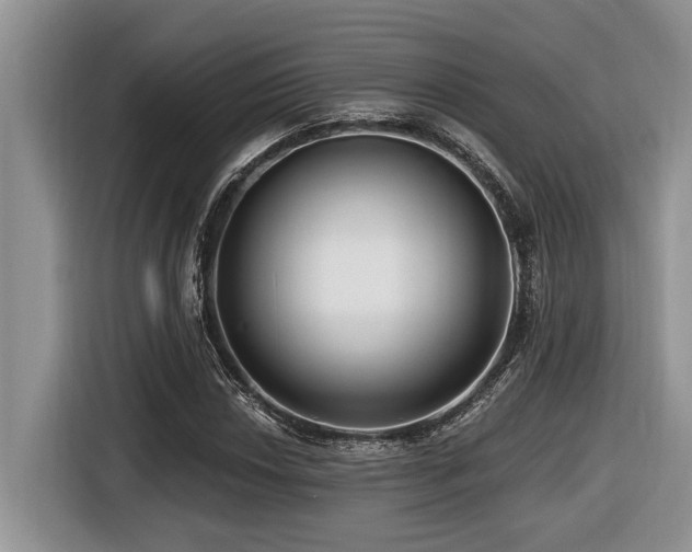 X0000116431018200912081520