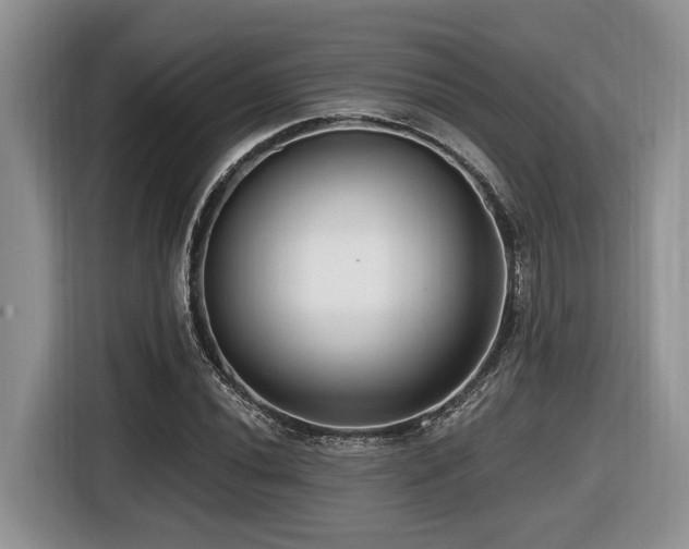 X0000116431020200912081520