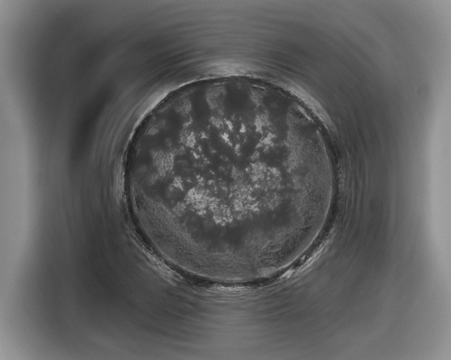 X0000116431023200912081520