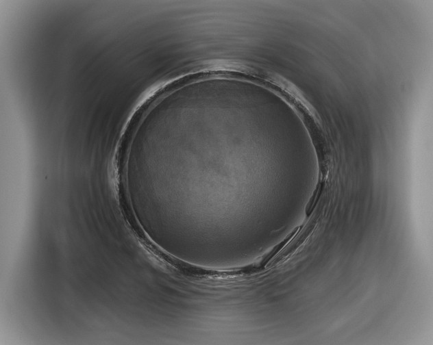 X0000116431024200912081520