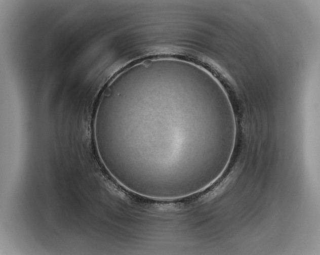 X0000116431025200912081520