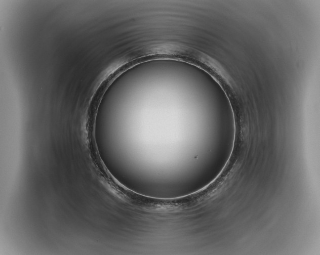 X0000116431026200912081520