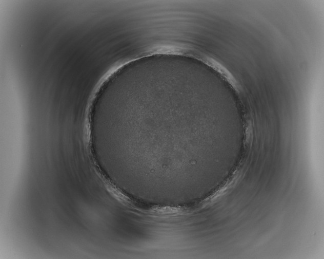 X0000116431027200912081520